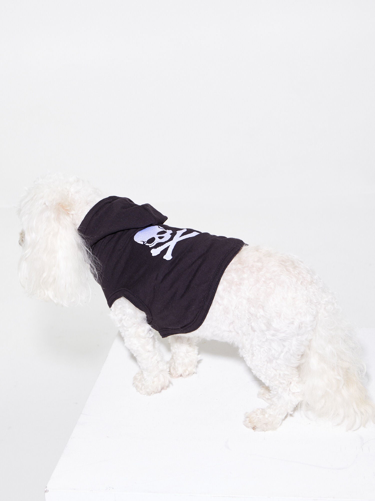 Soul Dog DOG SWEATER BLACK